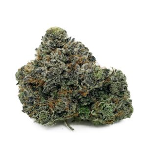 Comatose OG