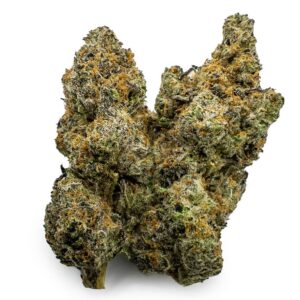 Creamsiclez