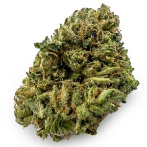 Critical Kush