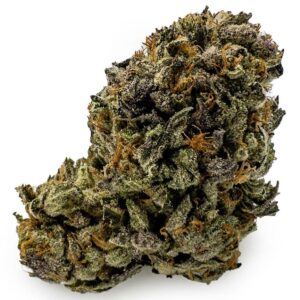 Dutch Treat