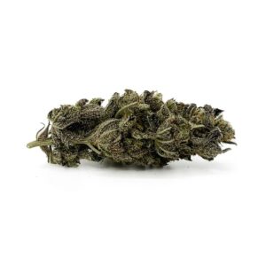 Dutch Treat Untrimmed – 28 Grams