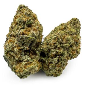 Fruit Punch