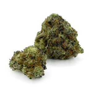 Garlic Sherbert