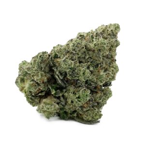 Gelato #33