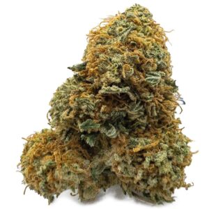 Gelato Runtz