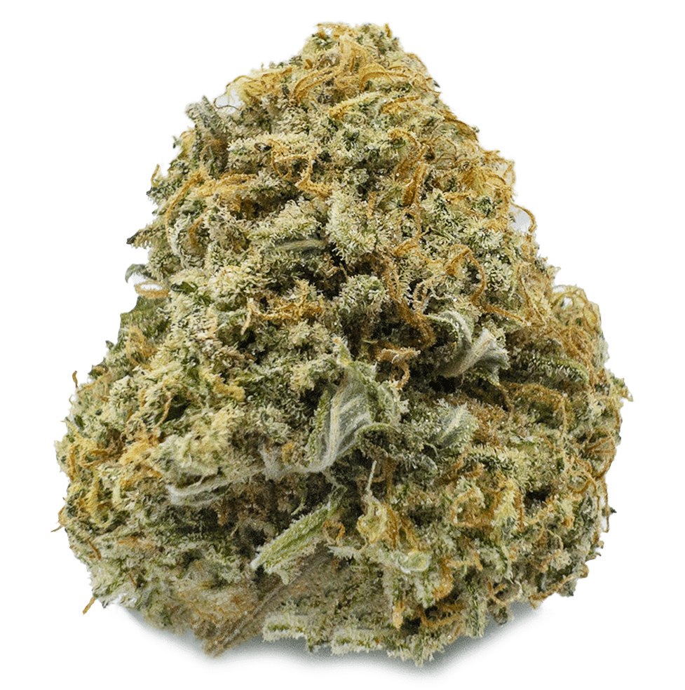 Gelato