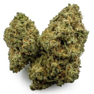 Girl Scout Cookies (GSC)