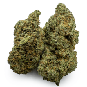 Girl Scout Yeti