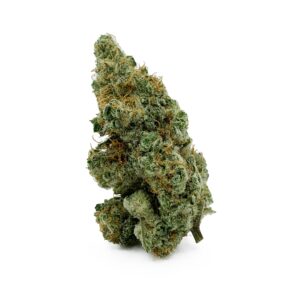 God Super Skunk by Seeds from Jordan of the Island