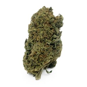 Golden Goat