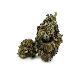 Gorilla Grapes