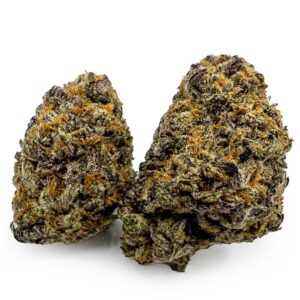 Gorilla Nut