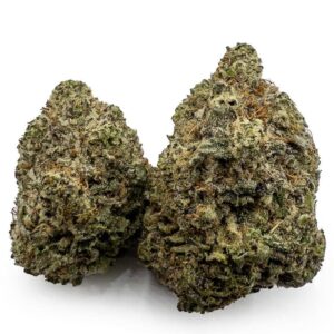 Grape GMO