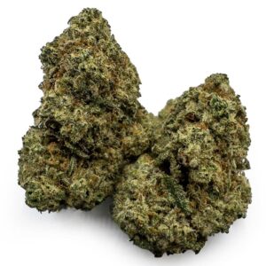 Grease Monkey