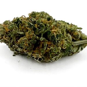 Hash Plant – May Contain Seeds