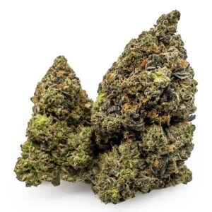 Hawaiian Pink Punch