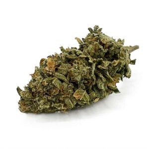 Hillbilly Untrimmed (Greenhouse)