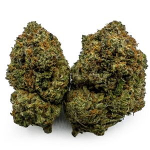 Hindu Kush