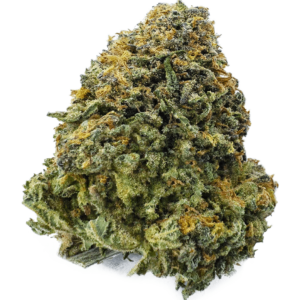 Hog’s Breath