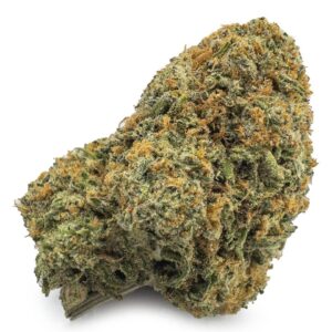 Jack Herer