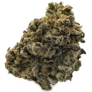 Jack’s Grape