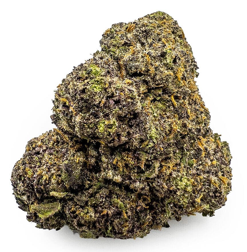 Jet Fuel Gelato