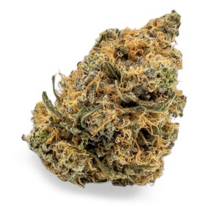 Jungle Cake