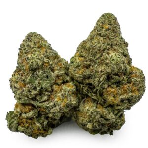 Jungle Diamonds