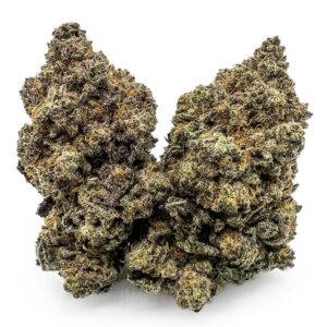 King Louis XIII
