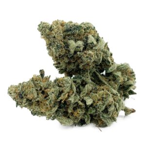 Lemon Mints Untrimmed (Contains Seeds)