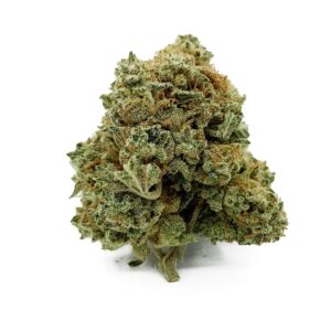 Lilac Diesel