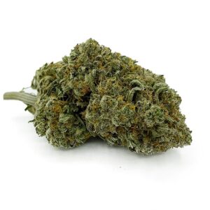 Lindsay OG