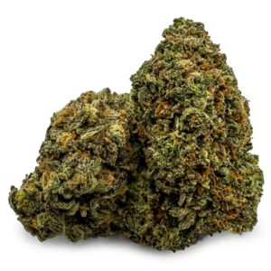 Mango Haze – 28 Grams