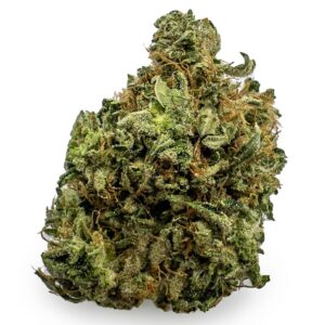 Master Kush