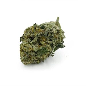 Mataro Blue Smalls (Contains Seeds)