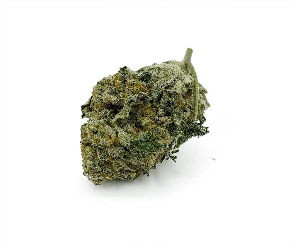 Mataro Blue Smalls (Contains Seeds)