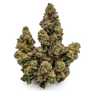 Maui Mango Diesel