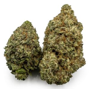 Mendo Breath