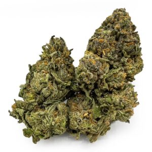 MK Ultra