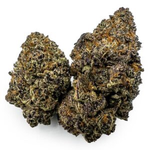 Northern Lights