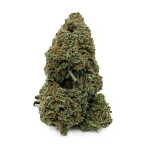 NYC Diesel