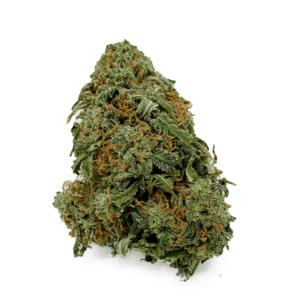 Orange Sherbet