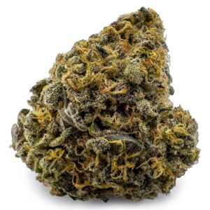 Pine Cone – 28 Grams
