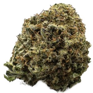 Pineberry – 28 Grams