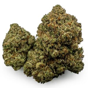Pink Bubba