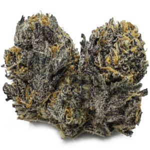 Purple Caviar