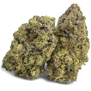 Purple Diesel