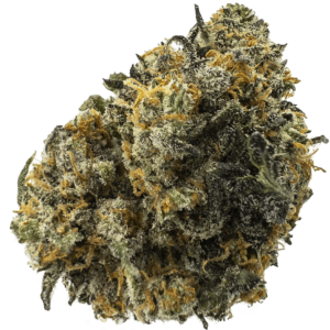Purple Jet Fuel