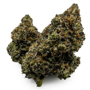 Purple Kush