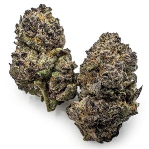 Purple Punch